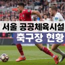 양평종합운동장 다목적경기장(보조구장) | 서울시 공공체육시설 축구장 현황 예약 사이트