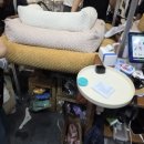(주)디에스비아이 | [킨텍스] 2026 일산 마이펫페어 방문후기 주차정보 구매목록 가격정보까지!