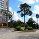 요진세탁소 이미지