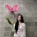케이 80 티스토리