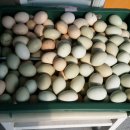 봉두농장 이미지