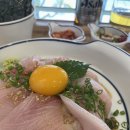 송도옥 이미지
