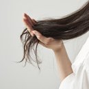 털보헤어플러스의원 이미지