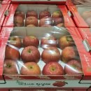 태백농협하나로마트사업소 이미지