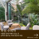 호수체육관 | 도심속 작은 정글 부천호수식물원 수피아 카페 가격 입장료 예약방법 관람후기
