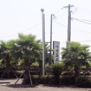 아만토브 이미지