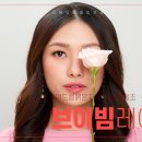 수브이