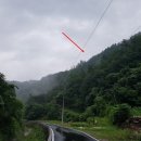 김삿갓면-6 네이버블로그