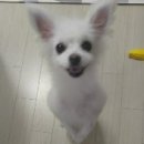 이플러스컴 | 컴피엔이지 드라이룸! 후기 입니당