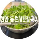 등촌샤브칼국수신방점 | 천안 등촌칼국수 / 신방점 내 돈 내산 그리고 두정점 단골이 남긴 비교 후기까지