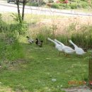 당림미술관 이미지