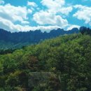 노루뫼부대찌게 이미지