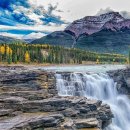 (주)위트레이딩 이미지