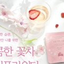 플라워티 이미지
