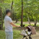 듄 | 내돈내산 절충형유모차 실버크로스 듄 2 후기[베이비하우스 청라점]