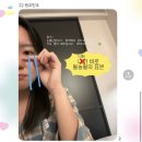 모여라 댕댕 | 나는 나의 오늘을 자처했고