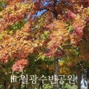 월광1수변공원 이미지