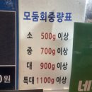 은빛물고기 | 수산시장 - 서울수산]5가지 제철 회를 한 번에 즐기는 역대급 가성비 후기(Feat. 20% 할인 꿀팁 공개)