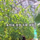 건농장 네이버블로그