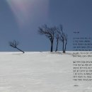 나무그늘 이미지