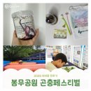 봉무 | 2025 봉무공원 곤충페스티벌 후기｜아이랑 무료체험·유충 선물 꿀팁