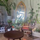 러스틱문 이미지