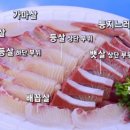 회꽃피는밤 이미지