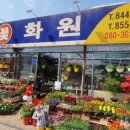 진영화원 이미지