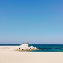 강문바다 이미지