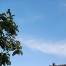 견생공방 이미지