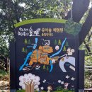 창원 아이와 함께 가볼만한 곳 창원 편백 치유의 숲 유아숲체험원