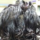 향기나라 이미지