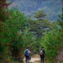 굴구지정원 이미지