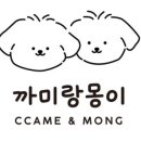 까미랑몽이