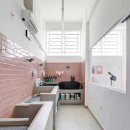 고려 애견 미용실 이미지