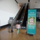 브로스메디칼 | 평택 닥터밸런스 ak키즈카페 건강하게 놀자!