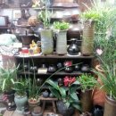 의성꽃화원 이미지