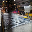 동문시장 | 제주동문시장 구경 후기