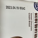 아성페트로 | 연세우유 초코생크림빵 칼로리 영양성분 용량 내돈내산 솔직후기