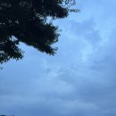아산곡교천야영장 | 아산시 곡교천 야영장 후기-가족캠핑과 다자녀할인까지