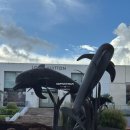 아이홉브런치 | [괌] 현지맛집 브런치맛집추천 아이홉 팬케이크 무료쿠폰사용후기