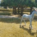 파크골프민박 이미지