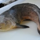 잠뱅이수산 이미지