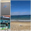 끌림 동물병원 | 강아지랑 여행 준비하기 멍냥의민족 한강덕은점, 덕은하이동물병원 광견병 예방접종 비용 후기