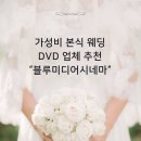 (주)블루미디어 | 내돈내산 가성비 본식 DVD 1인 3캠 블루미디어시네마 계약 후기(할인 코드 공유, 업체 비교)