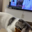 박군치킨 힐스테이트점 네이버블로그