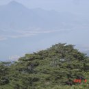 동산스포츠
