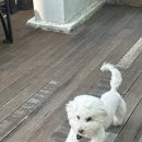 세븐일레븐 부산하단점 이미지