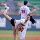 태미