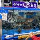 [서울/강서] 강서수산시장 횟집추천 쌍둥이벌교횟집 광어 연어 숭어 모둠회 후기 +돌고래식당 상차림